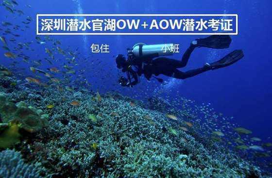 如何确保家庭用电安全？游戏画面